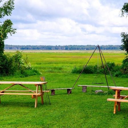 Wilcza Nora - Pole Biwakowe Hotel Dolistowo Nowe Buitenkant foto