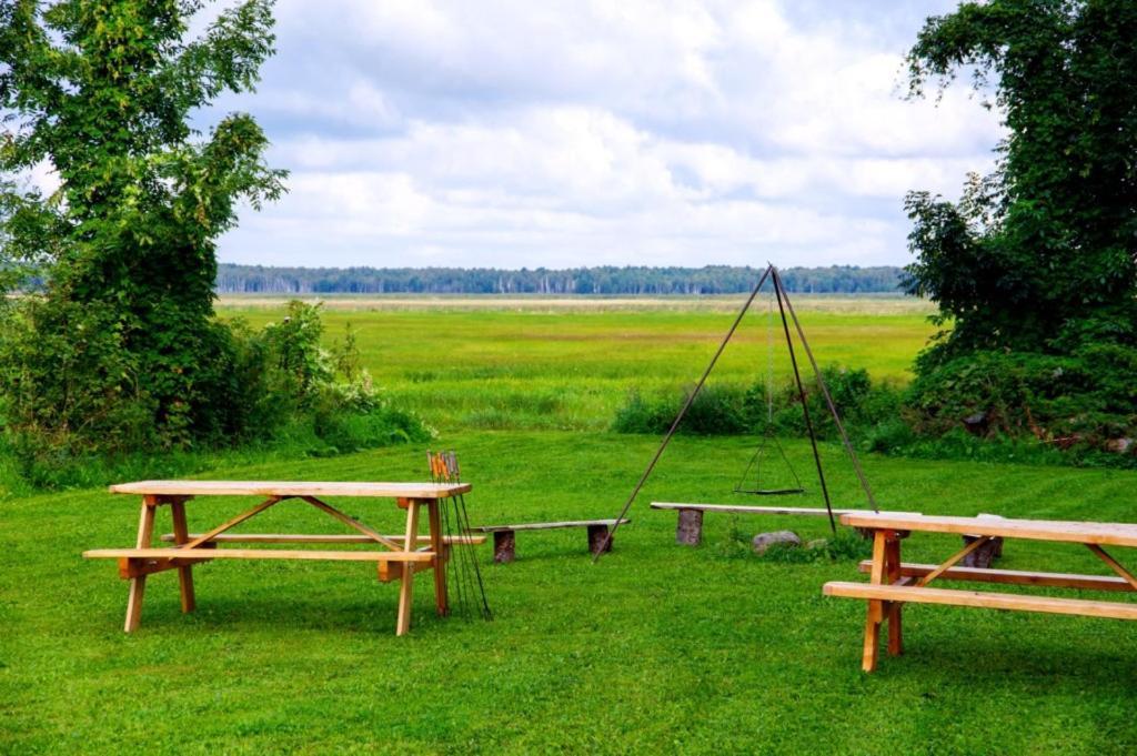 Wilcza Nora - Pole Biwakowe Hotel Dolistowo Nowe Buitenkant foto